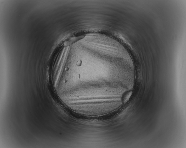 X0000086750685200705041428