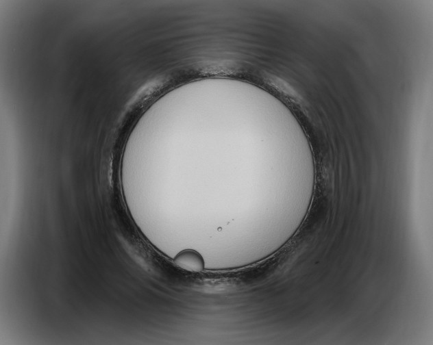 X0000086750686200705041428