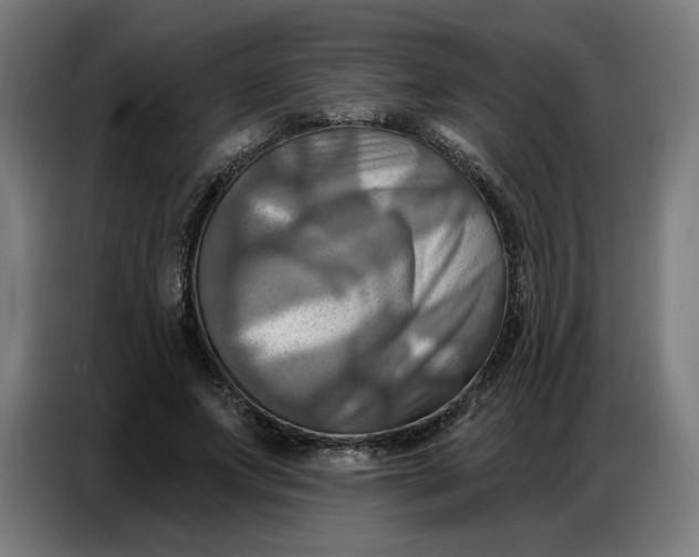 X0000086750687200705041428