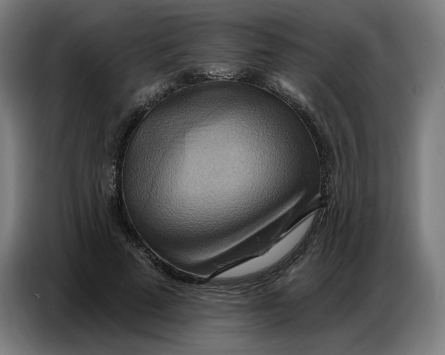 X0000086750689200705041428