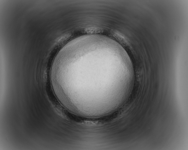 X0000086750690200705041428