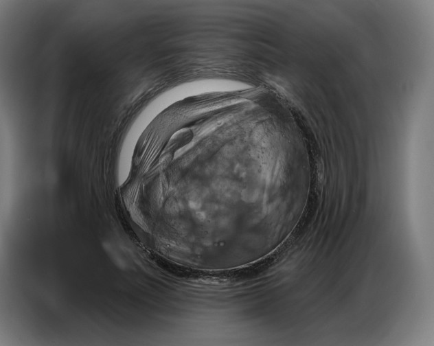 X0000086750691200705041428