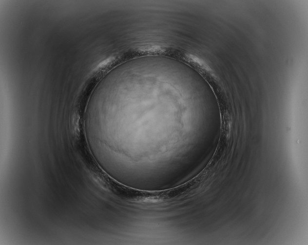 X0000086750692200705041428