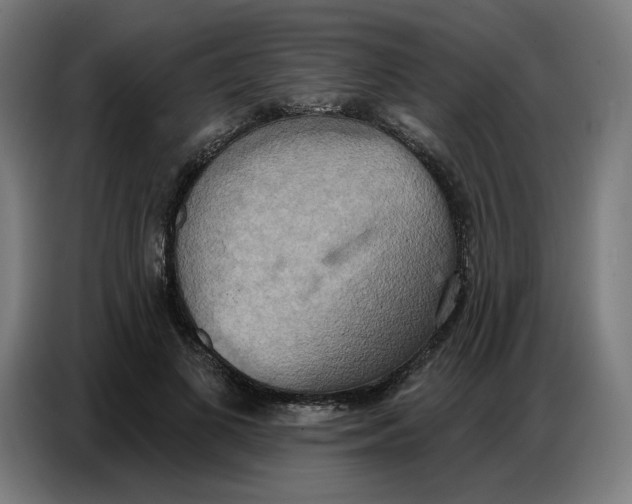 X0000086750693200705041428