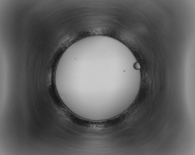 X0000086750694200705041428