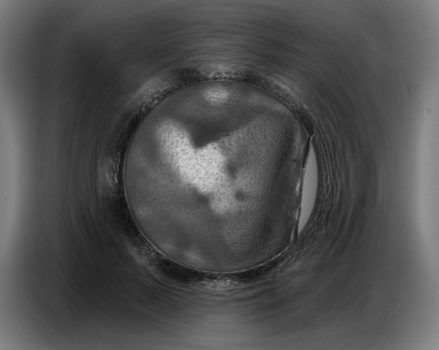 X0000086750695200705041428