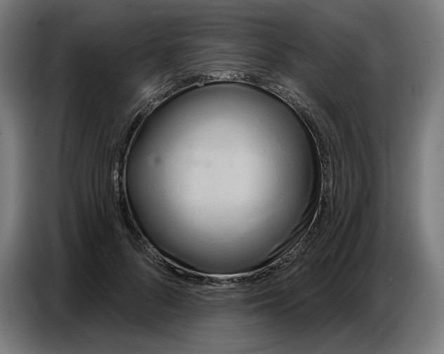 X0000086750696200705041428