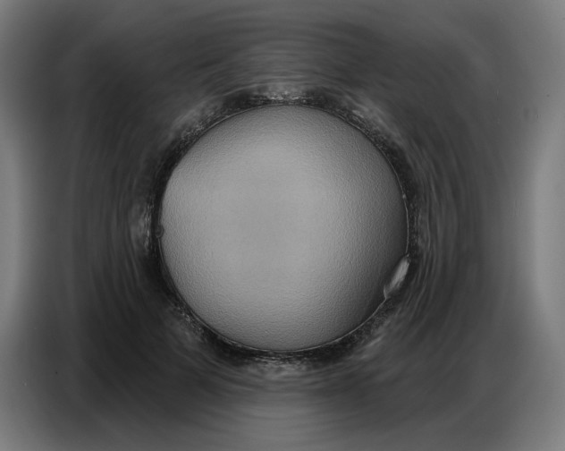 X0000086750697200705041428