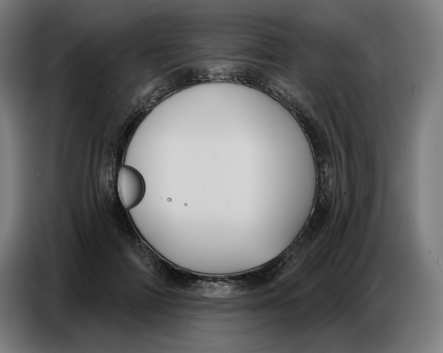 X0000086750698200705041427