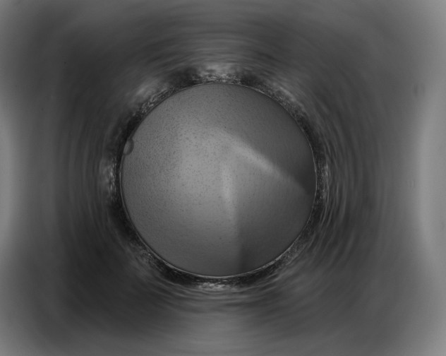 X0000086750699200705041427