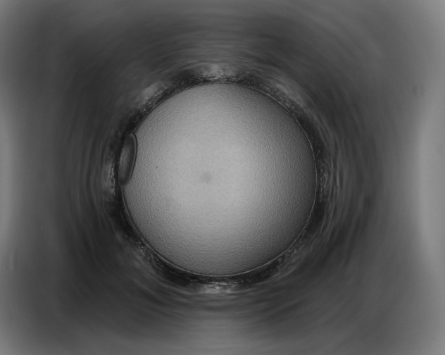 X0000086750700200705041427