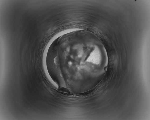 X0000086750703200705041427