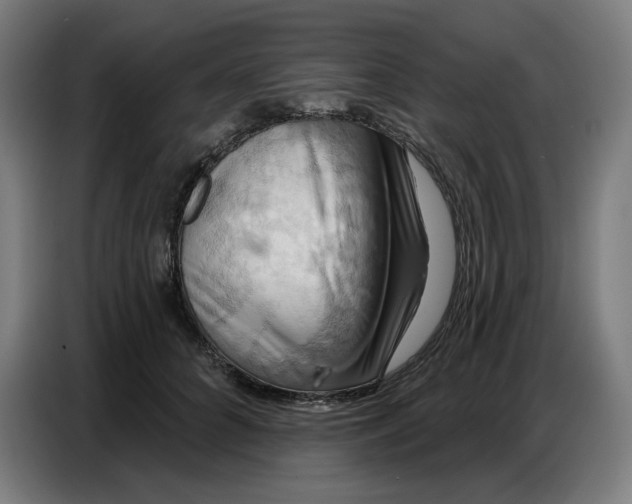 X0000086750704200705041427