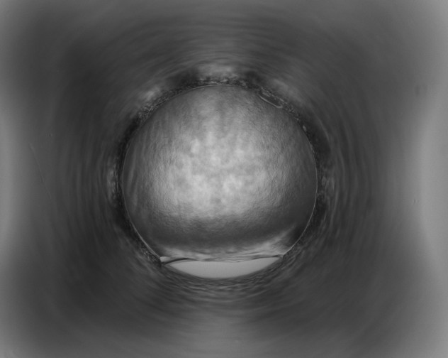 X0000086750708200705041427