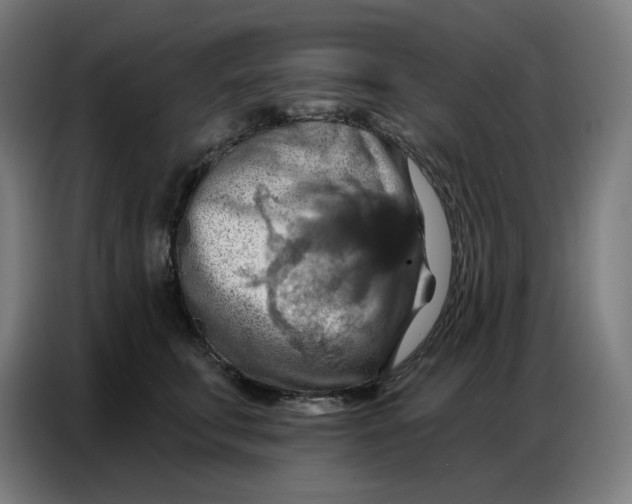 X0000086750711200705041427