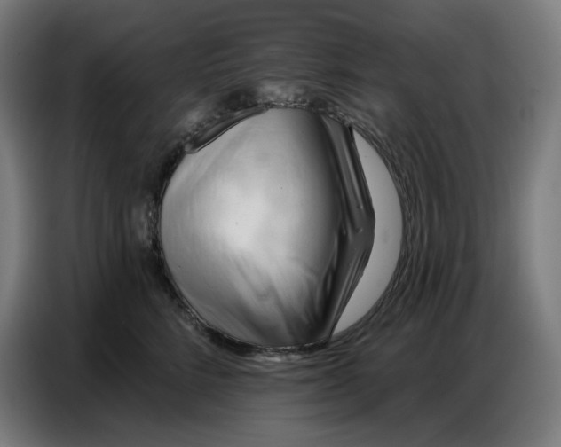 X0000086750712200705041427