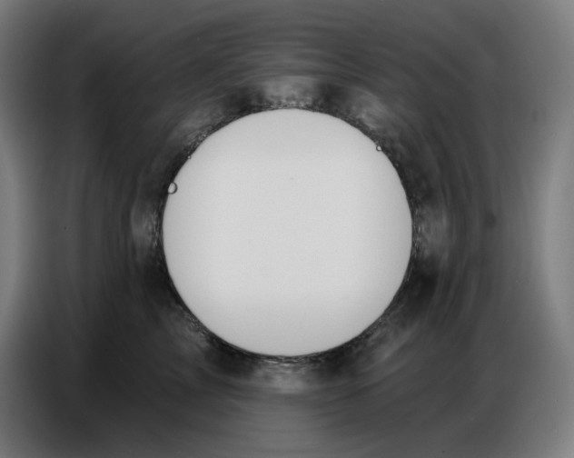 X0000086750713200705041427