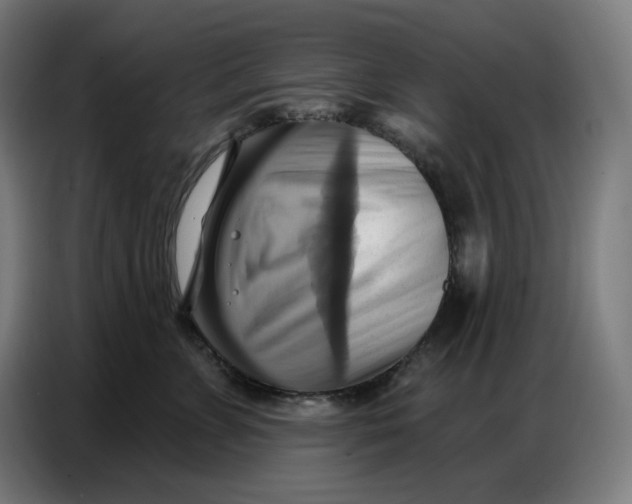 X0000086750715200705041427