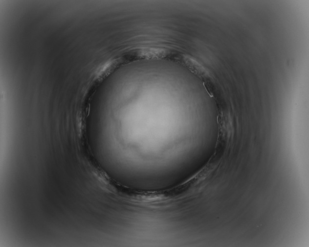 X0000086750716200705041427