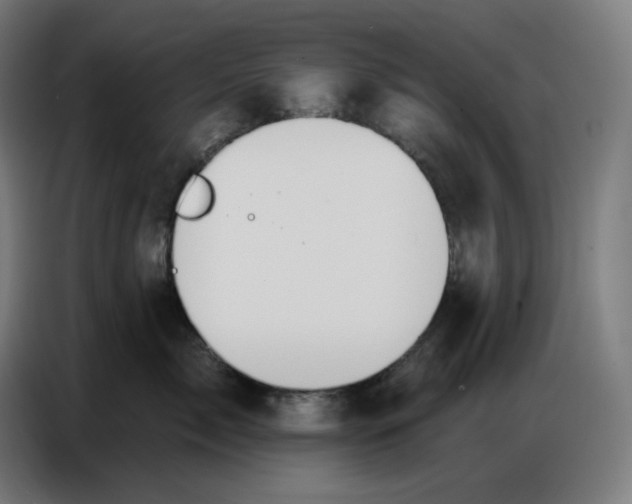 X0000086750717200705041427