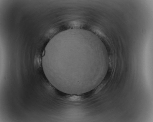 X0000086750718200705041427