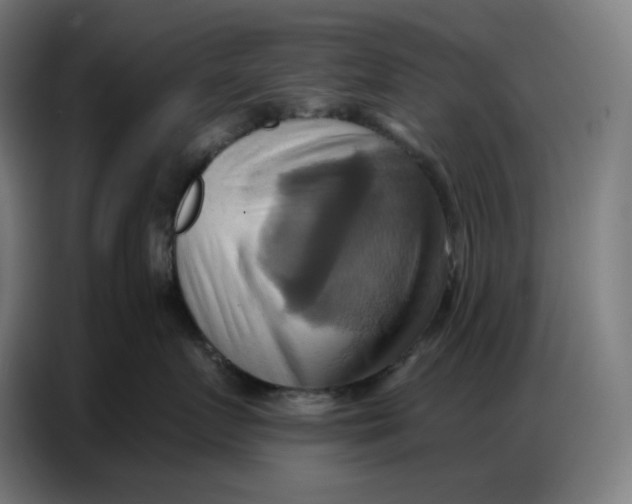 X0000086750719200705041427