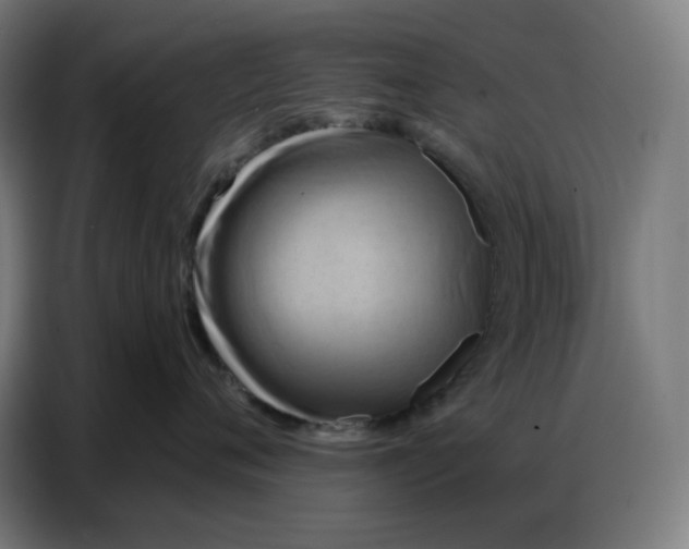 X0000086750720200705041427