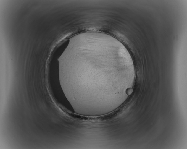 X0000086750721200705041427