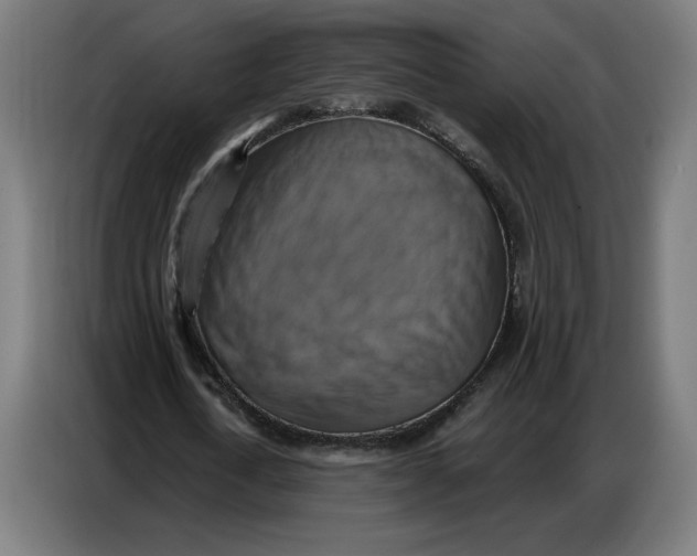 X0000086750722200705041427