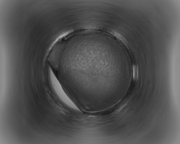 X0000086750723200705041427