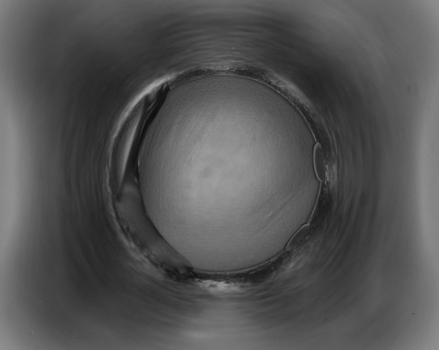 X0000086750724200705041427