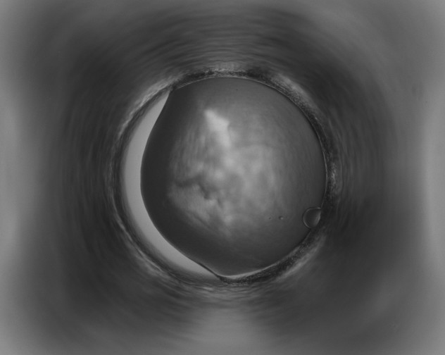 X0000086750725200705041427