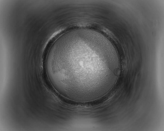 X0000086750727200705041427