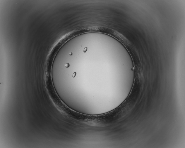 X0000086750728200705041427