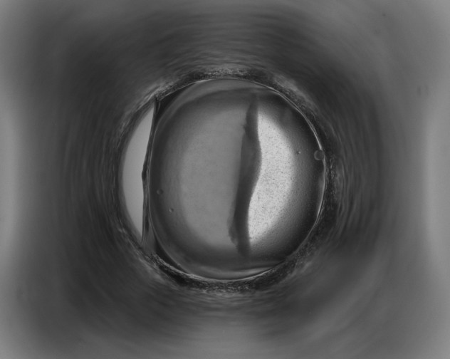 X0000086750729200705041427