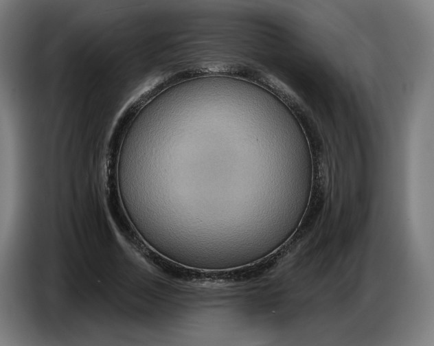 X0000086750730200705041427