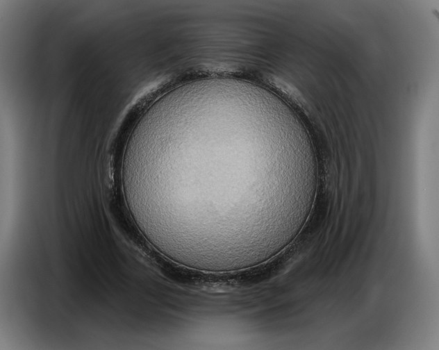 X0000086750731200705041427