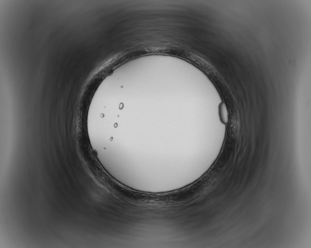 X0000086750732200705041427