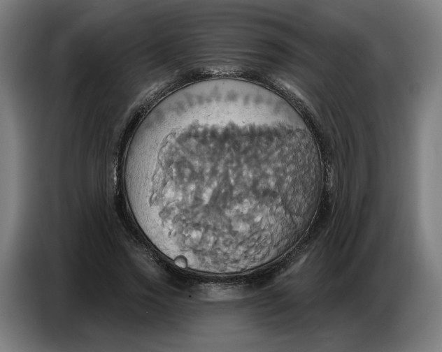 X0000086750733200705041427