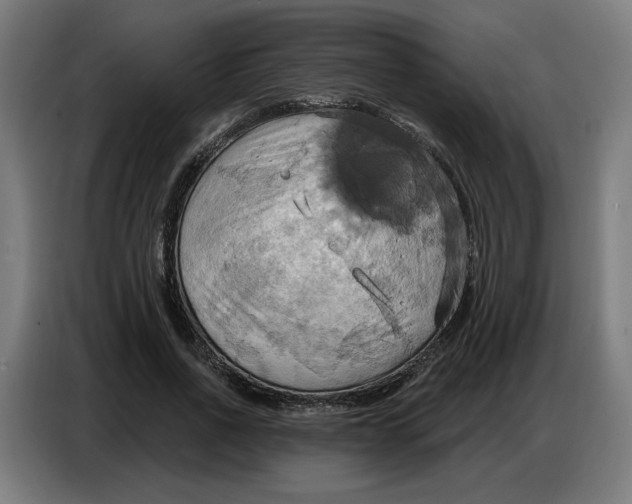 X0000086750734200705041427