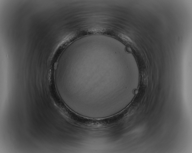 X0000086750735200705041427