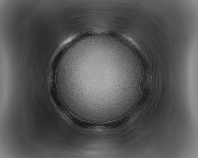 X0000086750736200705041427