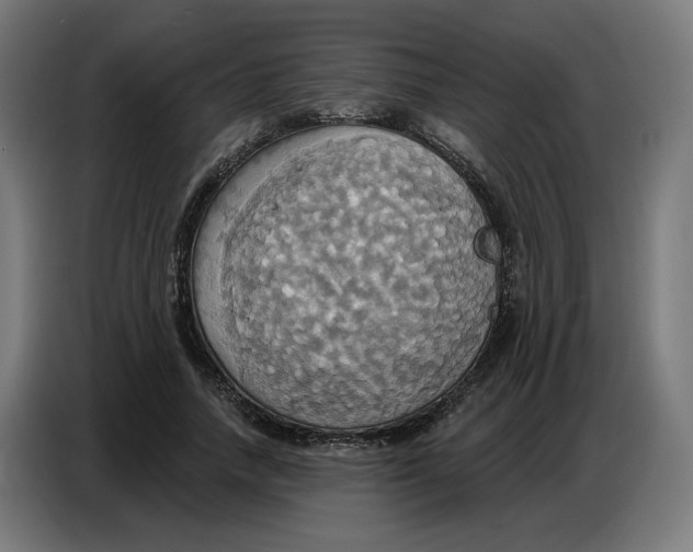 X0000086750738200705041427