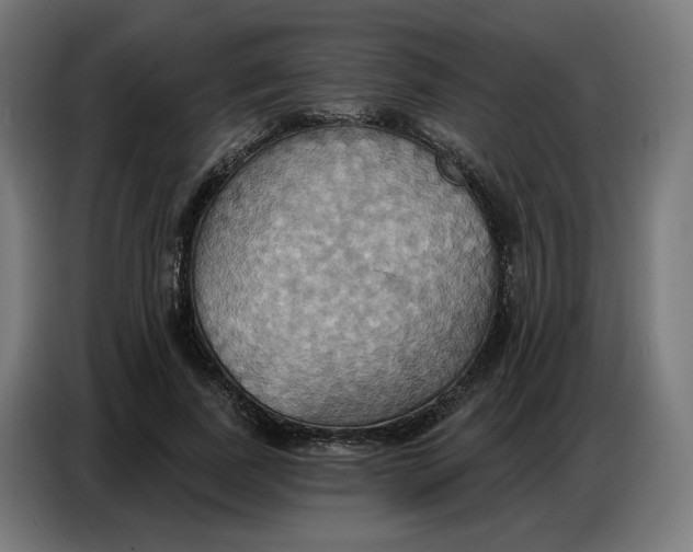 X0000086750739200705041427