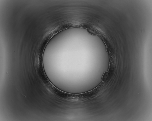 X0000086750740200705041427