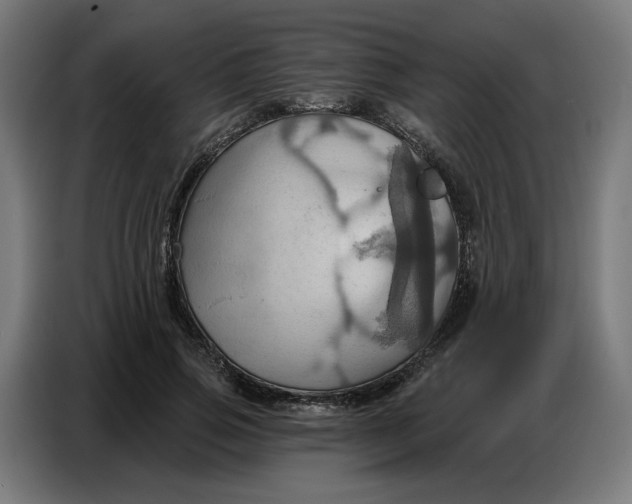 X0000086750741200705041427