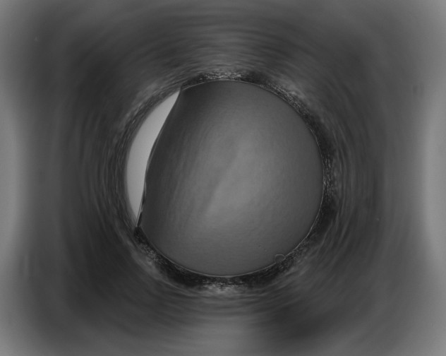 X0000086750742200705041427