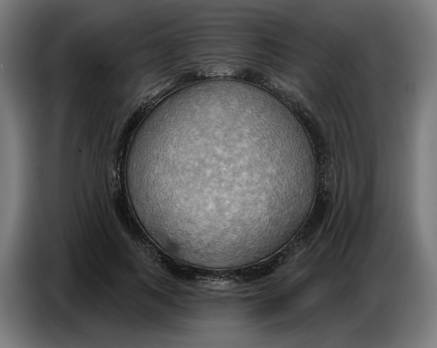 X0000086750743200705041427