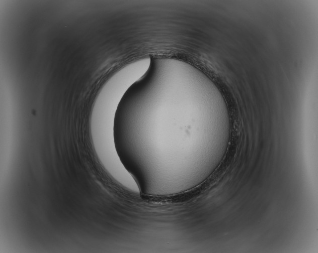 X0000086750744200705041427