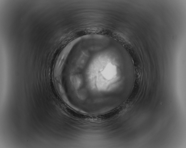 X0000086750745200705041427